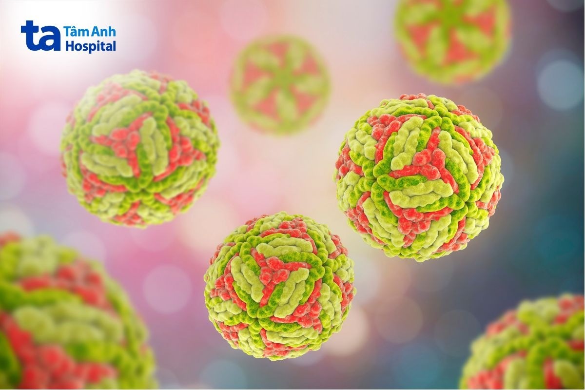 viêm não nhật bản do virus jev gây ra