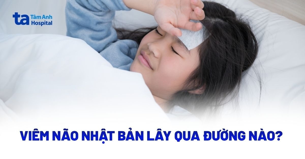 Viêm não Nhật Bản lây qua đường nào? Giải đáp chi tiết