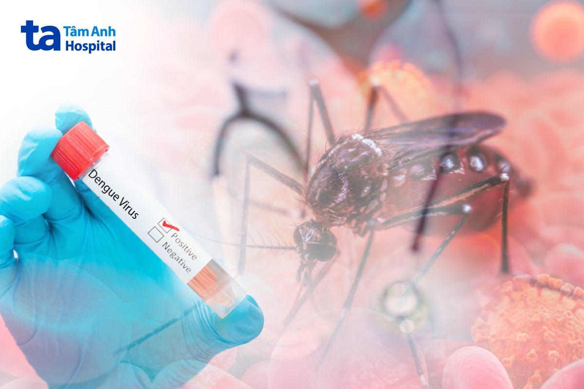 virus dengue là gì