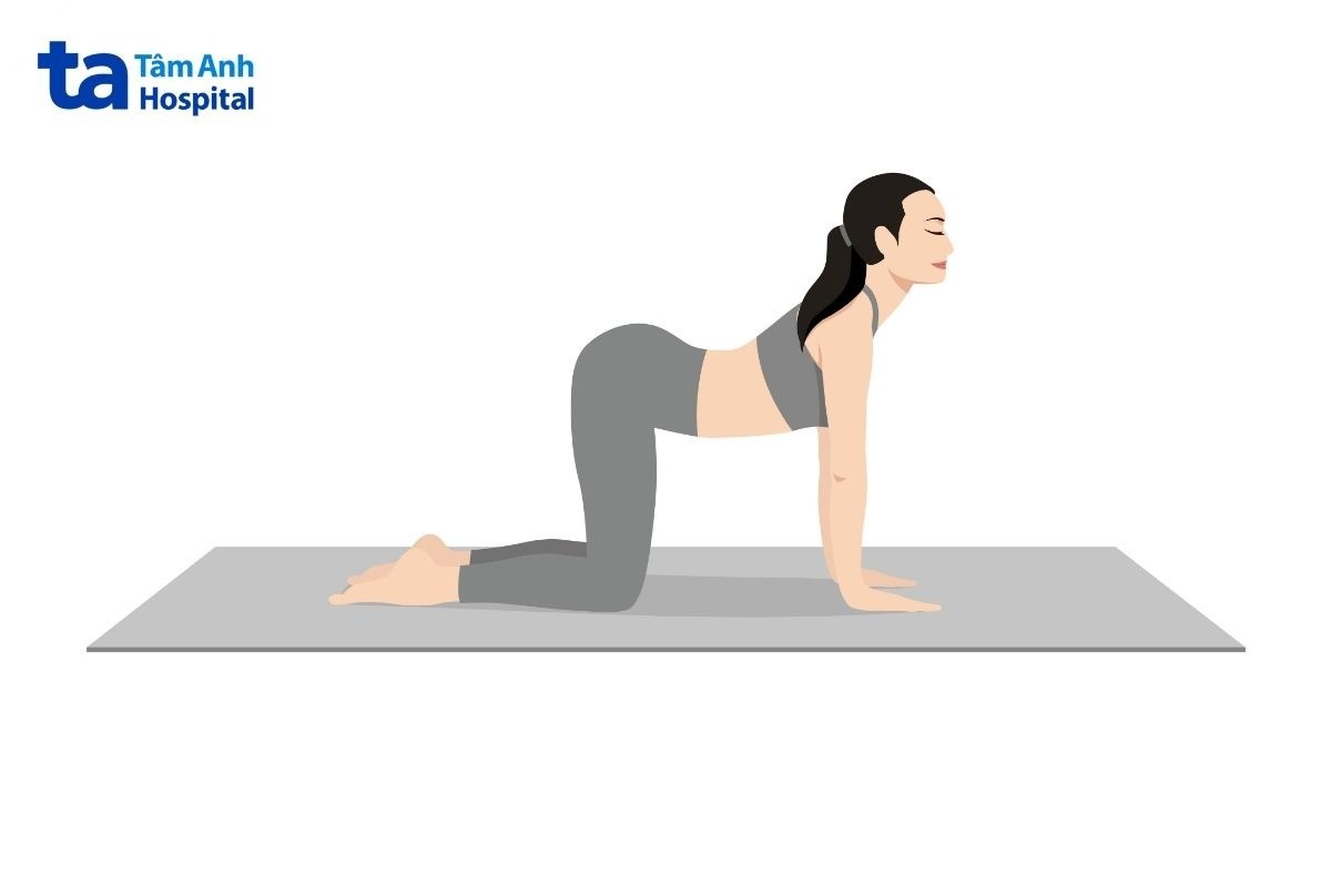 Bài Tập Yoga Cho Người Bị Thoái Hóa Cột Sống Tại Nhà Yoga Tư Thế Bò Cho Người Bị Thoái Hóa Cột Sống
