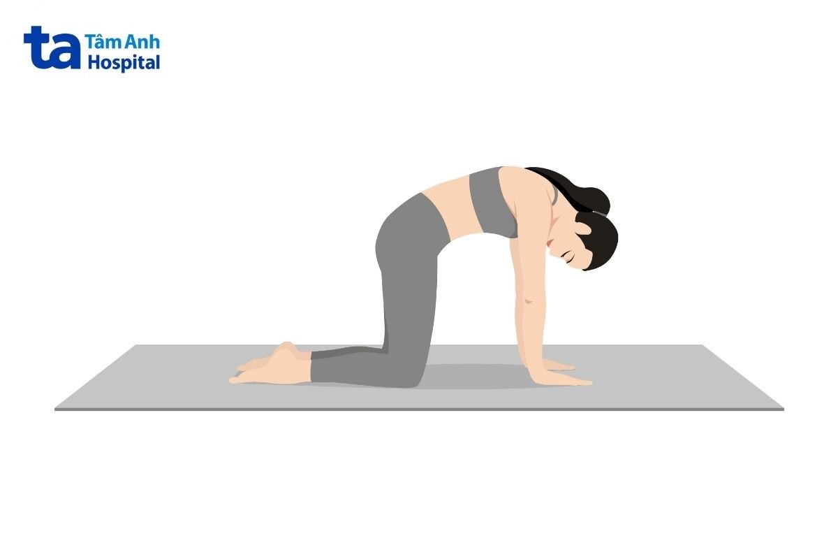 Bài Tập Yoga Cho Người Bị Thoái Hóa Cột Sống Tại Nhà Yoga Tư Thế Mèo Cho Người Bị Thoái Hóa Cột Sống